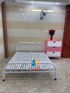 Giường sắt mẫu đơn giản nhiều kích thước ĐẠI THÀNH