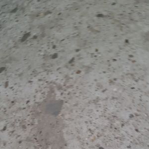 loa độ bẫy sẻ. loa 6 múi. 1 tressble 1 thạch anh