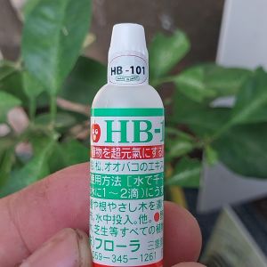 Thuốc kích rể HB-101JAPAN giúp tăng trưởng cây xanh chữa cây suy yếu-Lọ 6ml có tem chính hãng