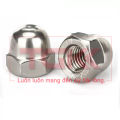 Đai ốc mũ inox 201 (M3-M20). 