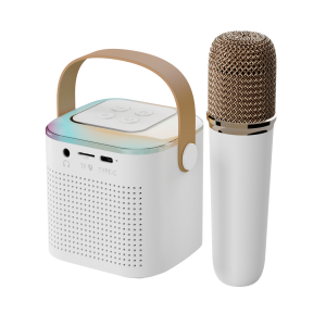 Mini Karaoke Speaker KTV device Wireless speaker with microphon bluetooth with mic 3D Stereo karaoke set gift
