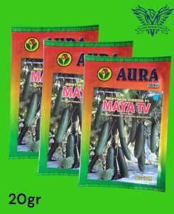 Benih TIMUN MAYA TV Bibit Mentimun Hibrida F1 Unggulan AURA SEED