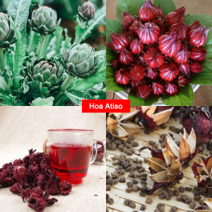 Hạt Giống Hoa Atiso Đà Lạt F1 – Dễ TrồngTỷ Lệ Nảy Mầm CaoCây KhỏeCho Hoa ĐẹpHợp Khí Hậu Việt Nam