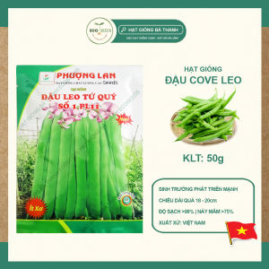 [EcoSeeds] Hạt Giống Đậu Cove Leo Tứ Quý (Đậu Que) - Giống Sinh Trưởng Phát Triển Khỏe - Gói 50g