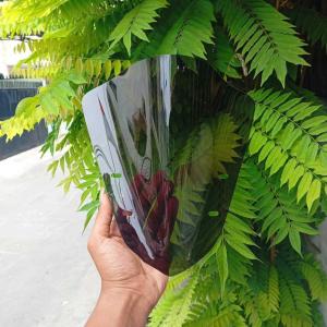 VISOR YAMAHA AEROX OLD AEROX NEW MODEL OVAL FULL CARBON BAHAN AKRILIK VISOR WINDSHIELD AEROX NEW AEROX OLD MODEL OVAL FULL CARBON