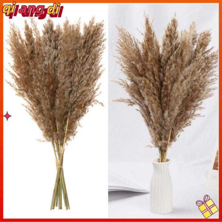 10x Colorful Natural Material Home Decoration Wedding Decor Real Flower ...