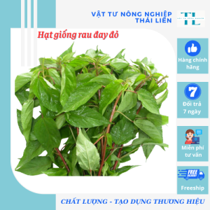 Hạt Giống Rau Đay Đỏ - Hạt Giống Thuận Điền