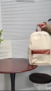 Multi Earth Tone School Backpack Front Contrast PU Zipper Flap Side Elastic Water Bottle Pocket Soft Wrinkle Nylon Women Daily Office Backpack alo bag