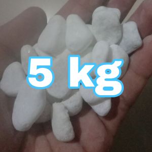 BATU PUTIH ITALI 10kg BATU PUTIH SALJU DEKORASI AQUASCAPE