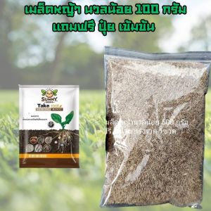 เมล็ดหญ้านวลน้อย 100 กรัม แถมฟรีปุ๋ย เร่งราก เร่งโต เข้มข้น ปลูกได้ 25-50 ตรม พร้อมส่ง