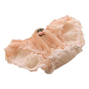 Cotton Bikini Panty Womens Underwear Lace Panties Soft Stretch Breathable Briefs Undies Underpants Ladies Lingerie