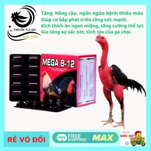 MEGA B12 thuố.c bổ gà đá sung mãn - tăng lực.hừng gàtăng nước máu.