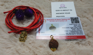 Original Rudraksha 3 Mukhi ( 3 Faces/ 3 Mugam) Rudraksha Bead With Lab Certificate