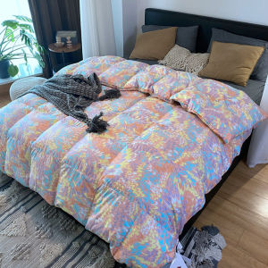 100 Chăn Bông Mùa Đông Mềm Mại 95 Chăn Lông Ngỗng Trắng Chăn Bông Mùa Xuân Và Mùa Thu Đôi Chăn Bông Ngỗng Bán Buôn