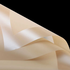 Better Home - [5 LEMBAR] Flower Wrapping Paper Transparant Kertas Buket List Frame Tebal - EMYAM
