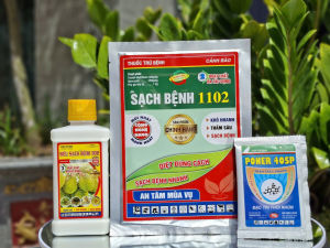Combo trị thán thư sương mai không nóng nhóm cây trồng bầu bí dưa
