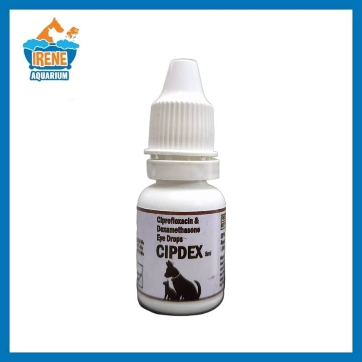 Cipdex Anti Bacteria Eye Drop 5ml Lazada