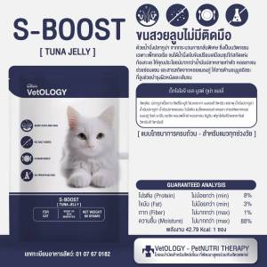 CatHoliday <ยกโหล> เพ็ทเทอเรีย อาหารเปียก VetOLOGY Boost  สำหรับแมวทุกช่วงวัย