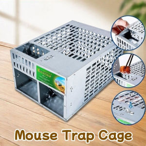 Automatic Continuous Double-Door Mouse Trap Cage Reusable Large perangkap tikus Indoor Outdoor Use