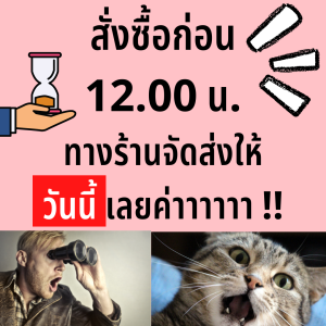 รูปติดบัตร ขนาด 1 นิ้ว 1.5 2 นิ้ว รูปนักเรียน รูปนักศึกษา รูปทำงาน รูปชุดครุย รูปข้าราชการ