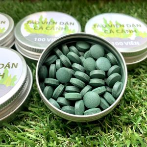 Tảo Viên Nhật Dán Kính Hộp 100 viên Thức ăn cho cá cảnh tép cảnh