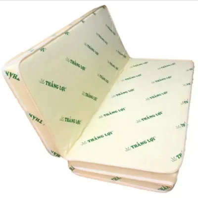 NỆM GẤP 3 {TẶNG QUÀ 7 MÓN} CAO SU NON THẮNG LỢI GẤP 3