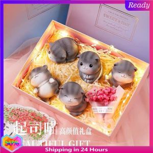 【现货正品】Creative Gift for Valentines Day For Girls birthday Creative gift for girls birthday Girls birthday Gift For girls birthday Girls birthday gift  情人节创意礼物女生生日礼物创意闺蜜送女朋友可爱特别的走心成年18岁小猫咪毕业