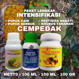 Pupuk Pohon Cempedak Agar Berbuah / Pupuk Khusus Pohon Cempedak / Pupuk Pelebat Buah Cempedak / Pupuk Pohon Cempedak / Pupuk Buah Cempedak Terbaik