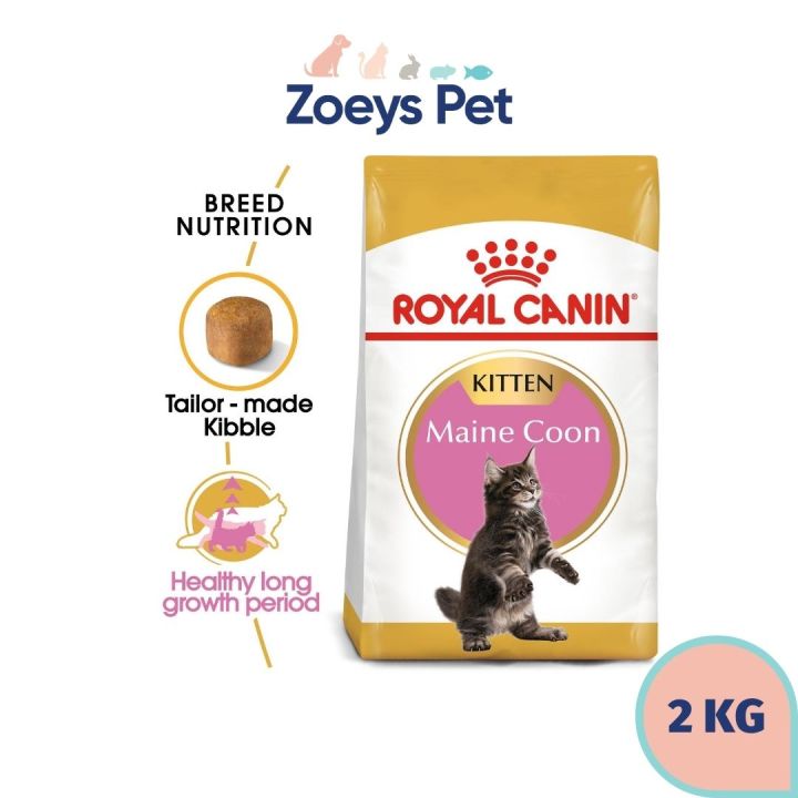 Royal Canin Maine Coon Kitten 2kg Dry Cat Food Lazada