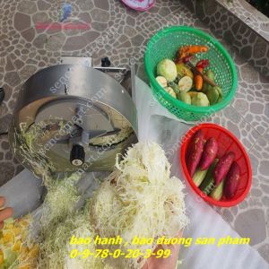 Máy thái lát hành  tỏi  dưa leo  sả  riềng ...