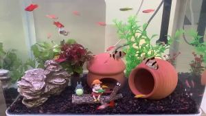 《READY》Aquarium Ceramic Decoration Fish and Shrimps Shelter House Ceramic Ornament