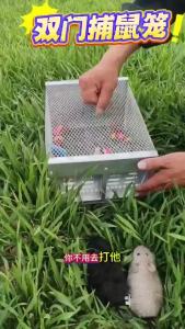 Two Door New Type Continuous Automatic Mouse Cage Mousetrap Handy Tool Super Household Mouse Killer Clip Catch Cage