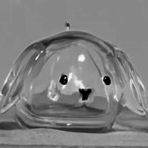 RGFV Handmade Cat Hair Storage Capsule Animal Shaped Transparent Acrylic Keychain Rabbit Hair Storage Box Cat Fur Storage Pendant Stylish Dog Hair Storage Container Pet Souvenirs