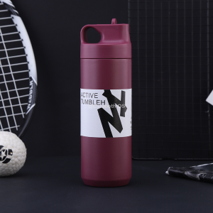 Elizabeth Thermos Water Bottle With Straw 550ml 304 Stainless Steel Vacuum Insulated Tumbler with Handle Botol Air Panas