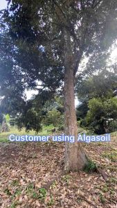 LEILI Algasoil Organik Baja/ Baja Algasoil Seaweed Organic Granular Fertilizer Repack 500g/ 1KG