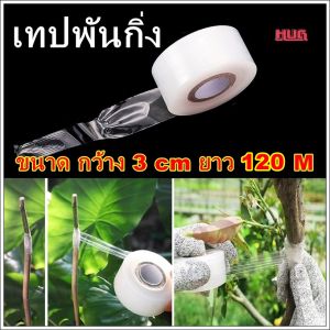 เทปพันกิ่งไม้ 3cm x 120 M เทปพันกิ่ง เทปทาบกิ่ง เทปพันกิ่งต้นไม้ ฟิมล์พันกิ่ง ฟิล์มพันกิ่ง เทปยืดพันกิ่ง เทปติดตาต้นไม้ ที่ตอนกิ่ง เทปใสพันกิ่ง ฟิล์มยืด ฟิล์มต่อกิ่ง