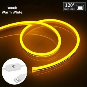 LED Neon Lights Strip Waterproof for Ceiling Side Glow Cuttable Flexible 24V USB Charging Neon Ambient Light with Switch