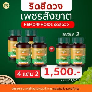 (4แถม2) เพชรสังฆาต ริดสีดวง สมุนไพรเพชรสังฆาต Hemorrhoids ยาแคปซูลผสมเพชรสังฆาตตราเอสเอ็น9 อัคคีทวาร ติ่งโผล่