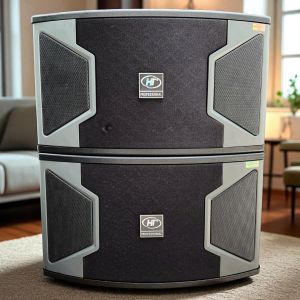 LOA NẰM TREO TƯỜNG BASS 25 (GIÁ 1 CẶP ) KS 310 CHUYÊN HÁT KARAOKE VÀ NGHE NHẠC VIP - HẢI TRIỀU