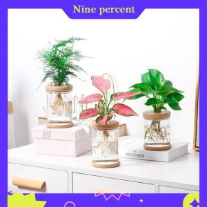 Nine percent Transparent Flower Pot Hydroponic Automatic Water Absorption Plastic Flower Pot