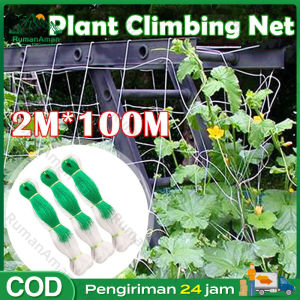 100M Jaring Rambatan Plant Climbing Net Tanaman Buah Merambat Jaring Tanaman