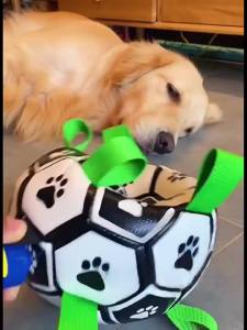 Puppy Toy Dog Durable Chew Football Corgi Small Large Dog InteractiveBall