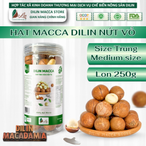 DiLin Hạt Macca Tây Nguyên Nứt Sẵn Size Trung (250g)