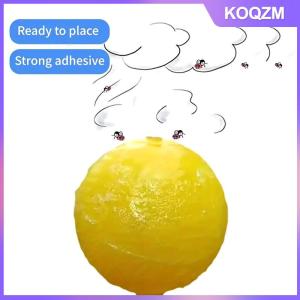 N2HAO Sticky Traps Flying Insects Traps Ball Effective Fly Catcher Killer Fruit Fly Killer For Plants Catching Fruit Insects
