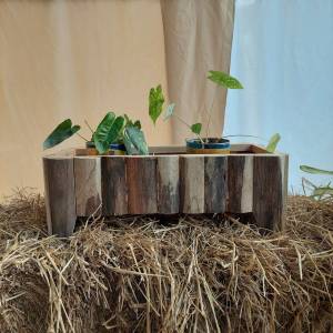 กระถางไม้ปลีก กระถางต้นไม้ รางต้นไม้ กะบะต้นไม้ งานไม้สักปลีก งานชิค