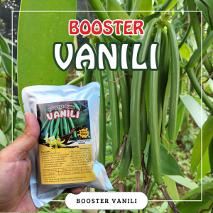 Booster Tanaman Vanili / Pupuk Booster Hayati Khusus Tanaman Vanili