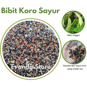 PROMO 15 BIJI BIBIT KACANG KORO SAYUR
