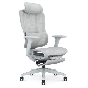 Zenith Ergonomic Office Chair ★ Home Office Chair ★ Comfortable Lumbar Support ★ Easy Self Setup