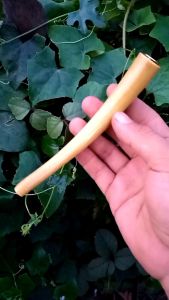 Pipa Cangklong Kayu Kumuning Gading: Pengertian & Manfaat