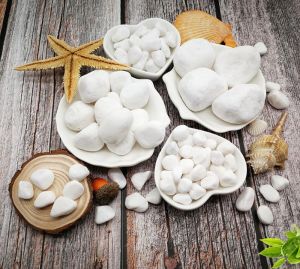 500g  Sỏi trắng dải trang trí chậu cây bể cá - Cây giả hoa lụa Decor trang trí nhà cửa